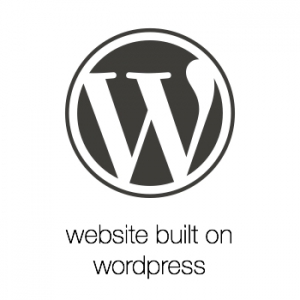 website design & development on wordpress